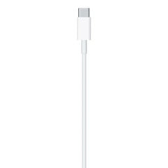 Official Apple C to Lightning Cable